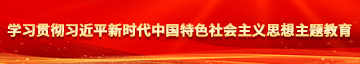 操死了小屄视频学习贯彻习近平新时代中国特色社会主义思想主题教育